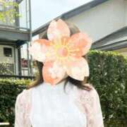 ヒメ日記 2024/12/17 08:49 投稿 高畑 淳子 熟女・人妻マダム宮殿