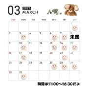 ヒメ日記 2025/02/22 01:18 投稿 木下  さえ ハレ系 メイドin福岡