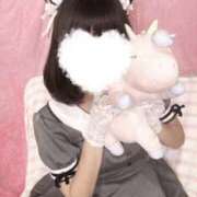 ヒメ日記 2025/03/21 10:30 投稿 木下  さえ ハレ系 メイドin福岡