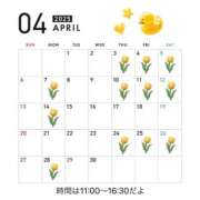 ヒメ日記 2025/03/25 20:01 投稿 木下  さえ ハレ系 メイドin福岡