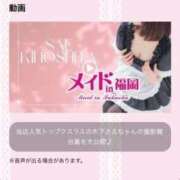 ヒメ日記 2025/04/11 14:29 投稿 木下  さえ ハレ系 メイドin福岡