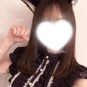 ヒメ日記 2026/03/13 10:30 投稿 木下  さえ ハレ系 メイドin福岡