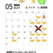 ヒメ日記 2026/04/26 13:41 投稿 木下  さえ ハレ系 メイドin福岡