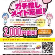 ヒメ日記 2026/07/14 19:54 投稿 木下  さえ ハレ系 メイドin福岡