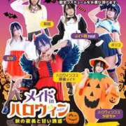 ヒメ日記 2026/10/01 09:25 投稿 木下  さえ ハレ系 メイドin福岡