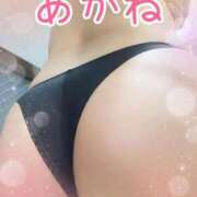 ヒメ日記 2025/02/11 11:02 投稿 あかね MOTHER(旧ママとおねえさん)