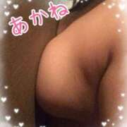 ヒメ日記 2026/02/22 22:31 投稿 あかね MOTHER(旧ママとおねえさん)