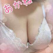 ヒメ日記 2026/03/07 10:41 投稿 あかね MOTHER(旧ママとおねえさん)