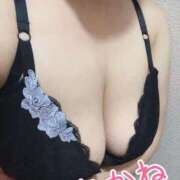 ヒメ日記 2026/10/12 10:21 投稿 あかね MOTHER(旧ママとおねえさん)