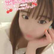 ヒメ日記 2025/04/08 16:52 投稿 桃乃木 はのん Canx2京都店