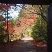 ヒメ日記 2024/12/07 21:33 投稿 和佳奈(わかな) 相模原人妻城