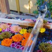 ヒメ日記 2024/12/20 08:18 投稿 和佳奈(わかな) 相模原人妻城