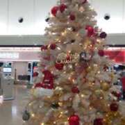 ヒメ日記 2024/12/25 17:18 投稿 和佳奈(わかな) 相模原人妻城