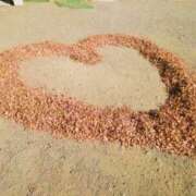 ヒメ日記 2025/01/04 18:18 投稿 和佳奈(わかな) 相模原人妻城