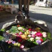 ヒメ日記 2025/01/13 22:03 投稿 和佳奈(わかな) 相模原人妻城