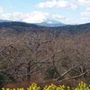 ヒメ日記 2025/02/11 09:03 投稿 和佳奈(わかな) 相模原人妻城