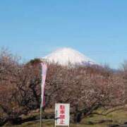 ヒメ日記 2025/02/15 07:33 投稿 和佳奈(わかな) 相模原人妻城