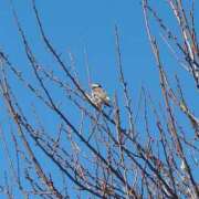 ヒメ日記 2025/02/27 10:03 投稿 和佳奈(わかな) 相模原人妻城