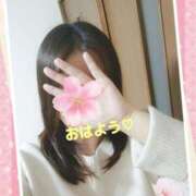 ヒメ日記 2025/04/13 07:42 投稿 和佳奈(わかな) 相模原人妻城