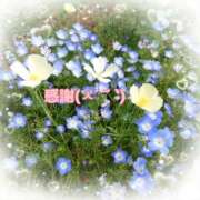 ヒメ日記 2025/06/28 20:27 投稿 和佳奈(わかな) 相模原人妻城