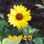 ヒメ日記 2025/08/17 22:30 投稿 和佳奈(わかな) 相模原人妻城