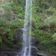 ヒメ日記 2025/09/04 08:54 投稿 和佳奈(わかな) 相模原人妻城
