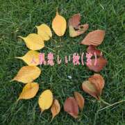 ヒメ日記 2025/10/11 20:39 投稿 和佳奈(わかな) 相模原人妻城