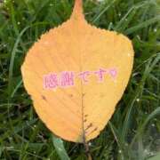 ヒメ日記 2025/10/12 10:09 投稿 和佳奈(わかな) 相模原人妻城