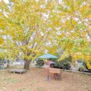 ヒメ日記 2025/11/29 08:33 投稿 和佳奈(わかな) 相模原人妻城