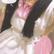 ヒメ日記 2024/12/24 14:44 投稿 うさぎ 桃李（とうり）