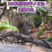 ヒメ日記 2025/01/22 20:51 投稿 ぴあの プレミアム(福原)