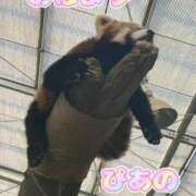 ヒメ日記 2025/01/26 08:21 投稿 ぴあの プレミアム(福原)