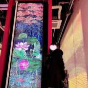 ヒメ日記 2025/03/02 06:51 投稿 ぴあの プレミアム(福原)