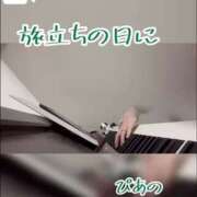 ヒメ日記 2025/03/09 01:41 投稿 ぴあの プレミアム(福原)