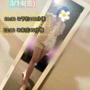 ヒメ日記 2025/03/15 14:34 投稿 ぴあの プレミアム(福原)