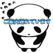 ヒメ日記 2025/03/15 15:08 投稿 ぴあの プレミアム(福原)