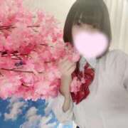 ヒメ日記 2025/03/26 08:51 投稿 ぴあの プレミアム(福原)