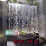 ヒメ日記 2025/05/20 20:02 投稿 ぴあの プレミアム(福原)