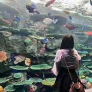 ヒメ日記 2025/05/25 08:17 投稿 ぴあの プレミアム(福原)