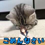 ヒメ日記 2025/06/10 08:31 投稿 ぴあの プレミアム(福原)