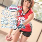 ヒメ日記 2025/06/29 17:02 投稿 ぴあの プレミアム(福原)