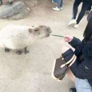 ヒメ日記 2025/11/01 14:41 投稿 ぴあの プレミアム(福原)