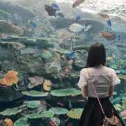 ヒメ日記 2026/01/17 14:11 投稿 ぴあの プレミアム(福原)