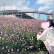 ヒメ日記 2026/01/30 07:01 投稿 ぴあの プレミアム(福原)