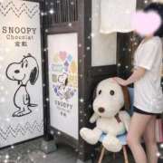 ヒメ日記 2026/02/14 14:16 投稿 ぴあの プレミアム(福原)