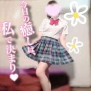 ヒメ日記 2026/02/22 08:13 投稿 ぴあの プレミアム(福原)