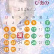 ヒメ日記 2026/03/04 08:16 投稿 ぴあの プレミアム(福原)