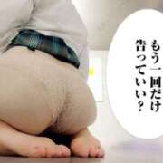 ヒメ日記 2026/04/15 13:56 投稿 ぴあの プレミアム(福原)