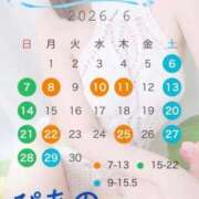 ヒメ日記 2026/06/06 11:21 投稿 ぴあの プレミアム(福原)