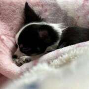 ヒメ日記 2024/12/16 16:30 投稿 りく ニューティアラ